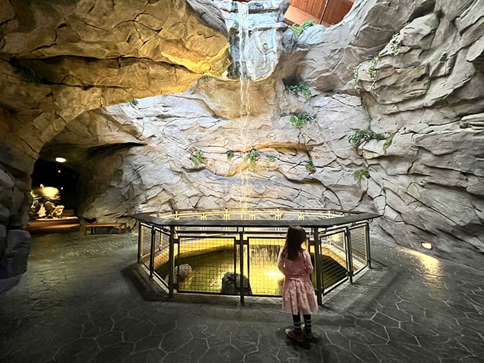 North Carolina Aquarium at Pine Knoll Shores